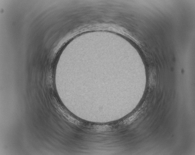 X0000060551498200512011603