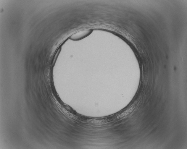 X0000060551500200512011603