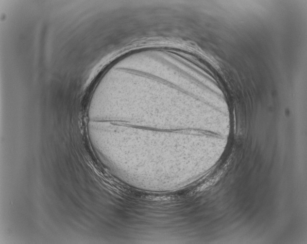 X0000060551501200512011603