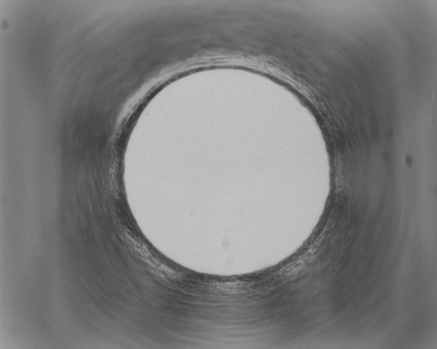 X0000060551502200512011603