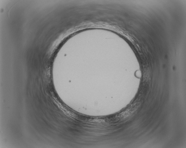 X0000060551503200512011603