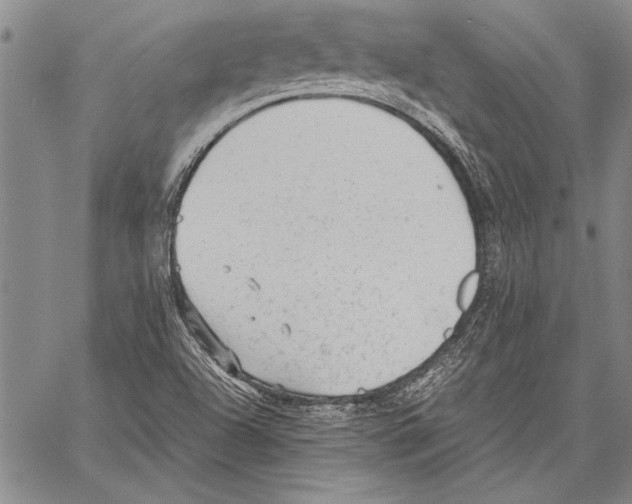 X0000060551504200512011603