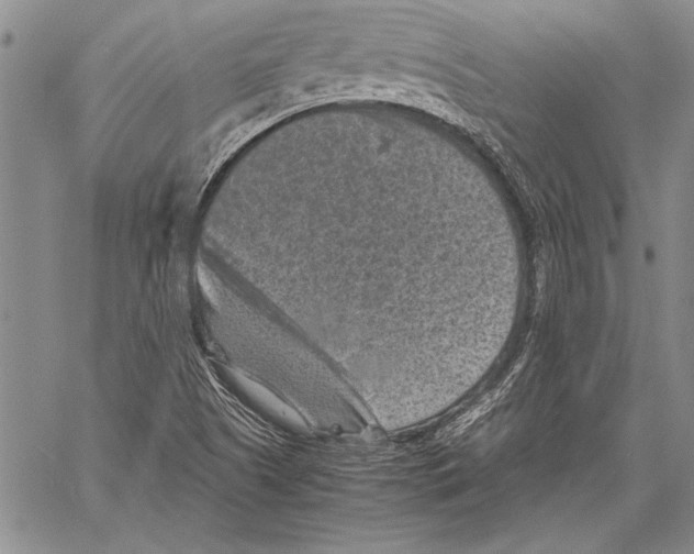 X0000060551505200512011603