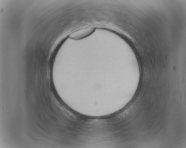 X0000060551506200512011603