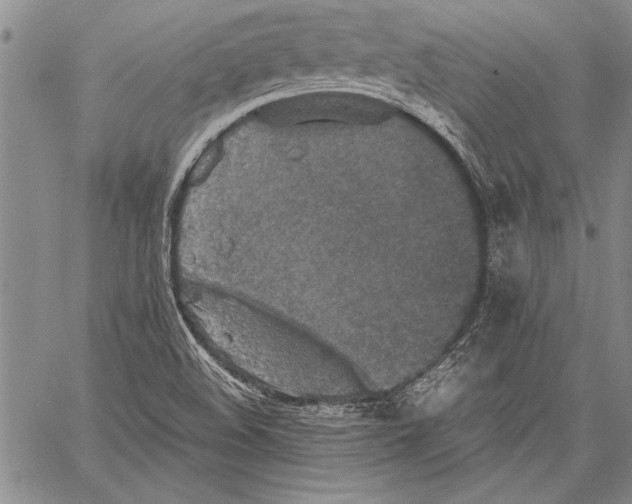 X0000060551508200512011603