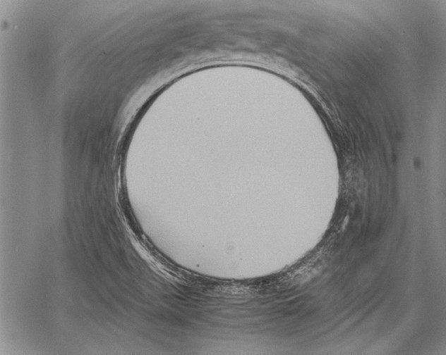 X0000060551511200512011603