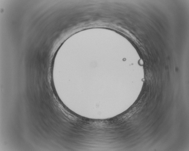 X0000060551512200512011603