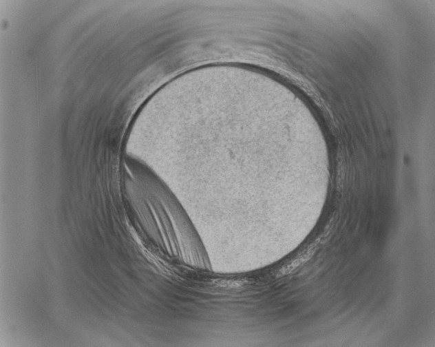 X0000060551513200512011603