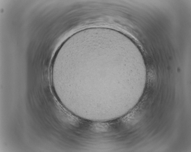 X0000060551514200512011603