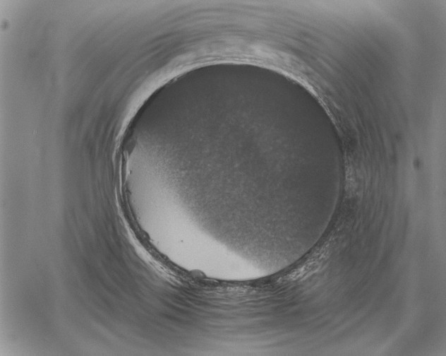 X0000060551515200512011603