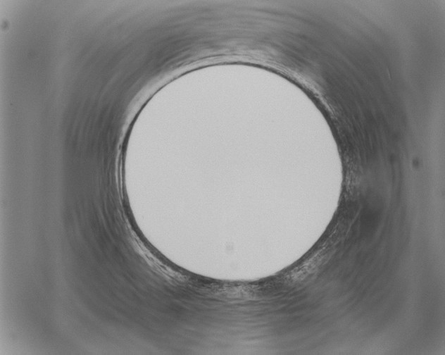 X0000060551516200512011603