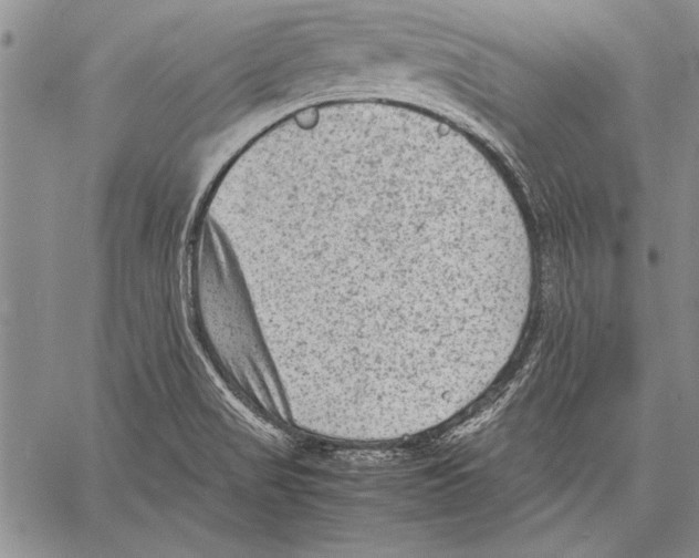 X0000060551517200512011603