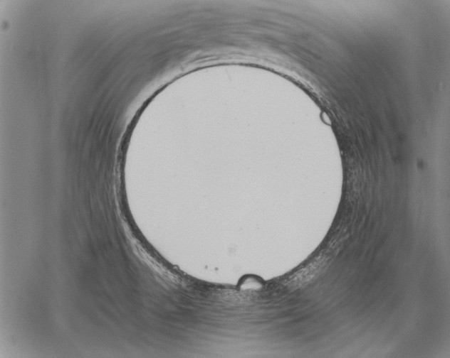 X0000060551518200512011603