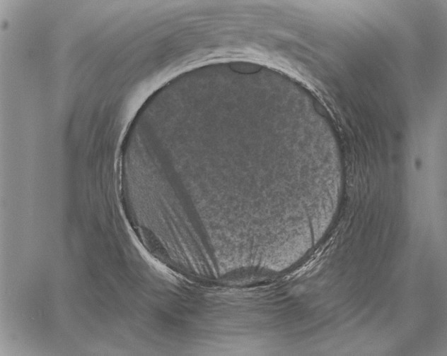 X0000060551519200512011603