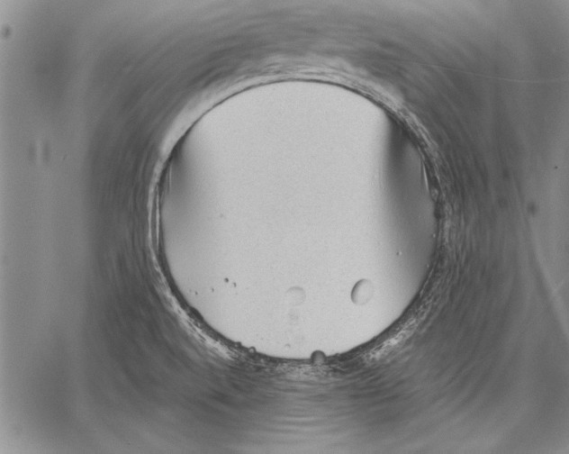 X0000060551520200512011603