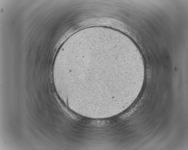 X0000060551521200512011603