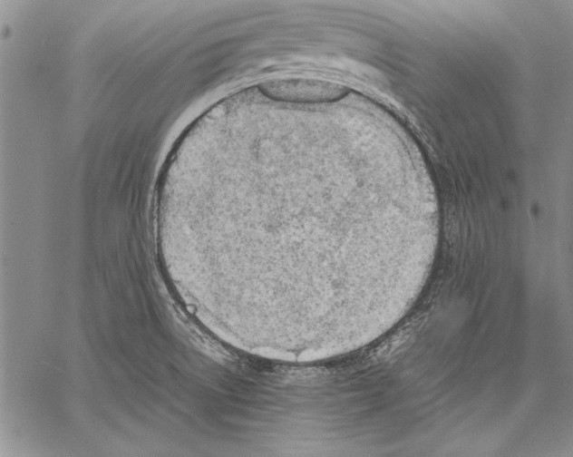 X0000060551522200512011603