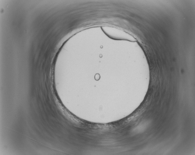 X0000060551526200512011603