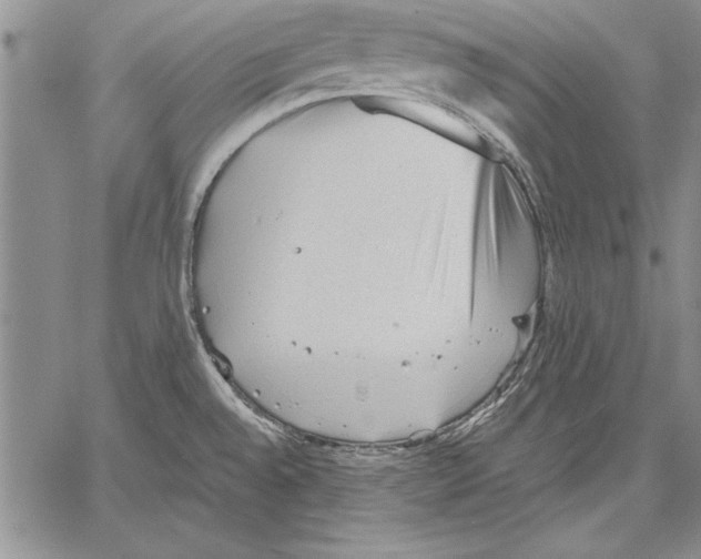 X0000060551528200512011603