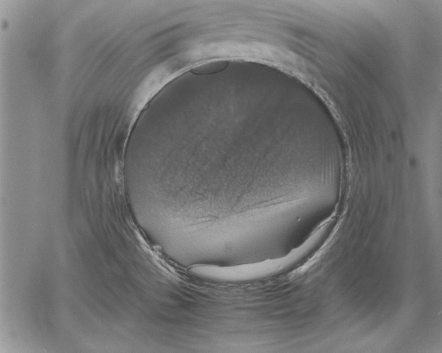 X0000060551529200512011603