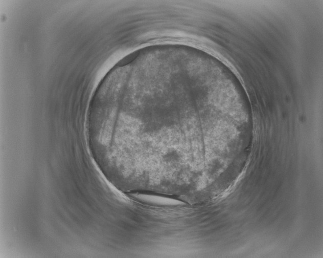 X0000060551533200512011603