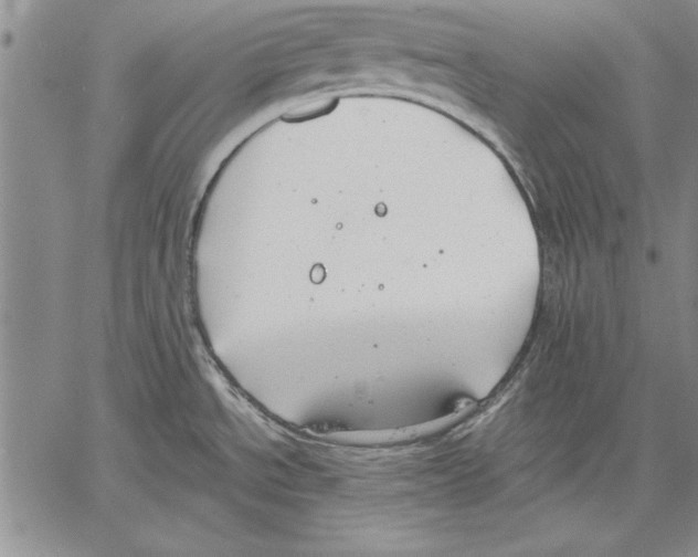 X0000060551534200512011603