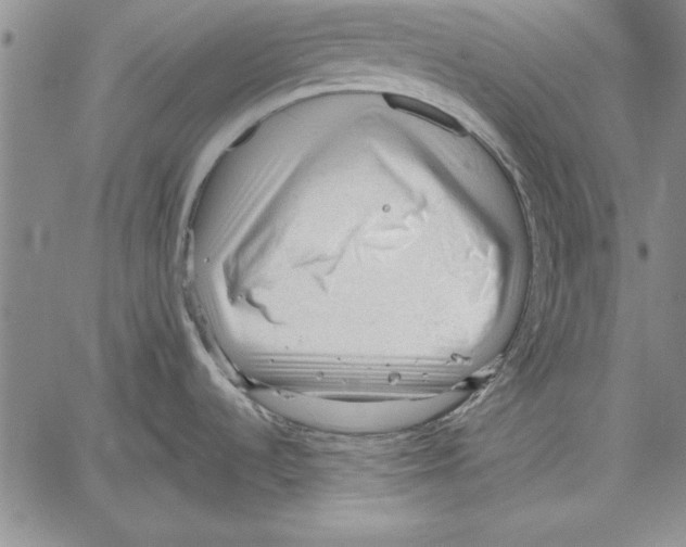 X0000060551536200512011603