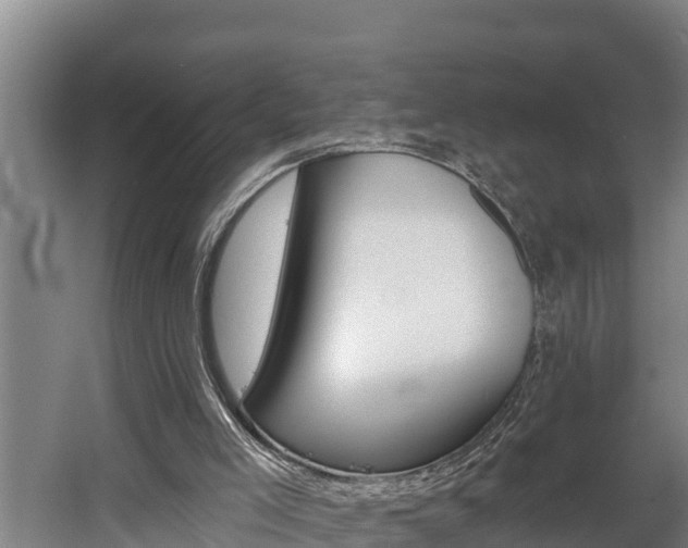 X0000060560005200511030930