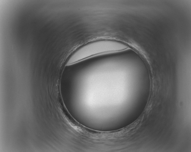 X0000060560009200511030930