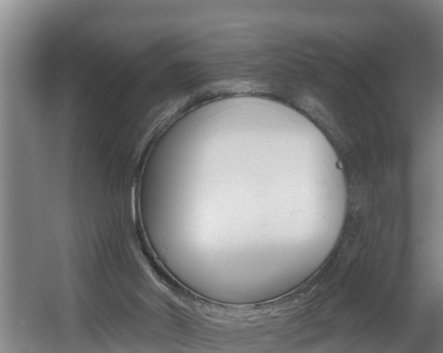 X0000060560014200511030930