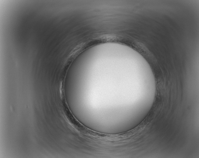 X0000060560024200511030930