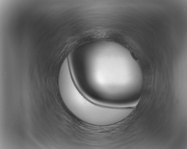 X0000060560035200511030930