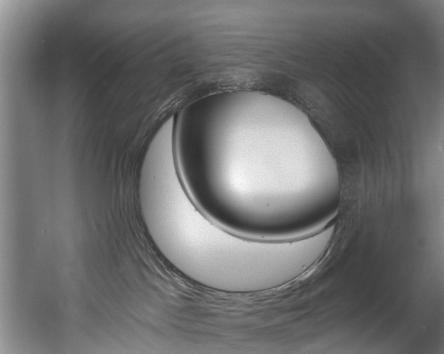 X0000060560045200511030930
