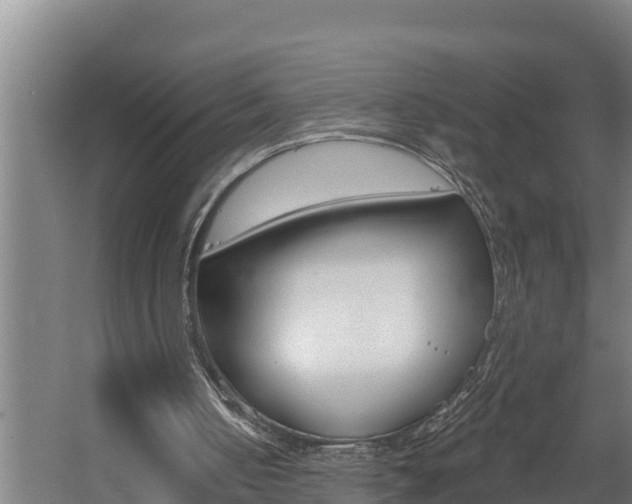 X0000060560050200511030929