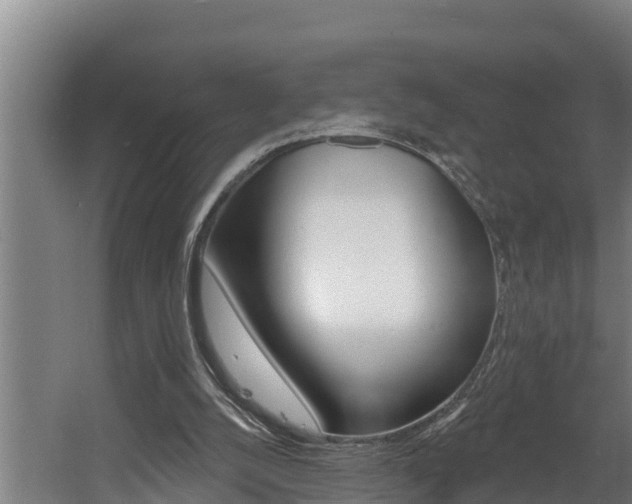 X0000060560056200511030929