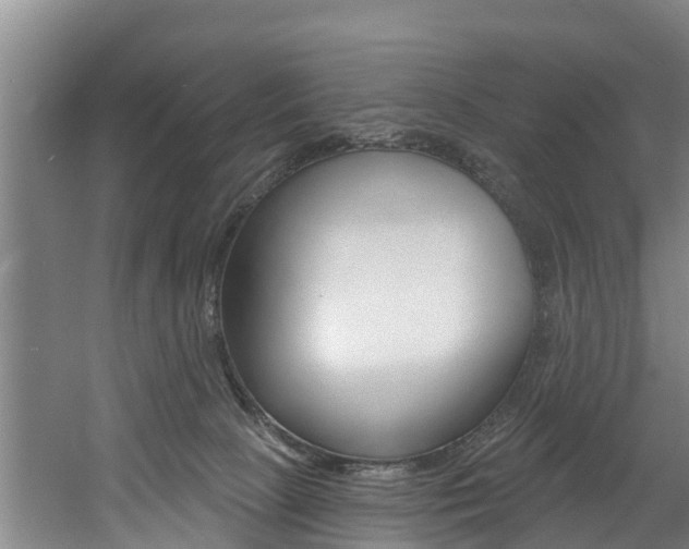 X0000060560081200511030929