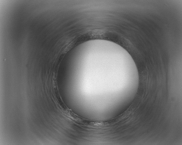 X0000060560083200511030929