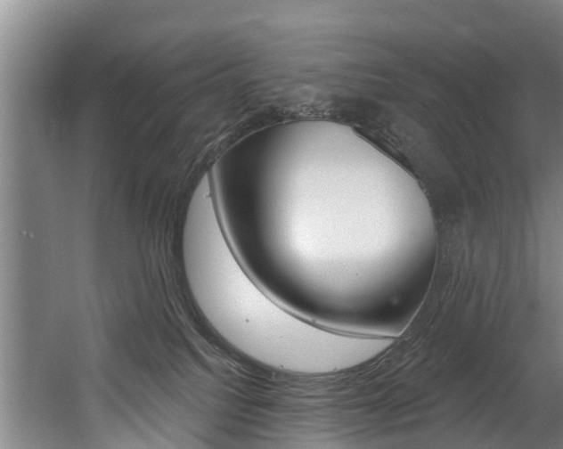 X0000060560088200511030929
