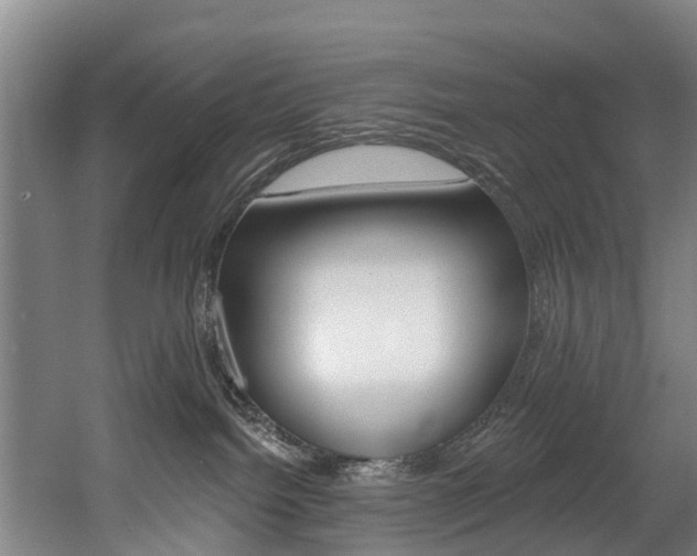 X0000060560092200511030930