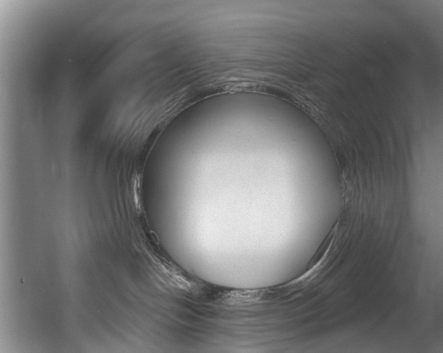 X0000060560094200511030930