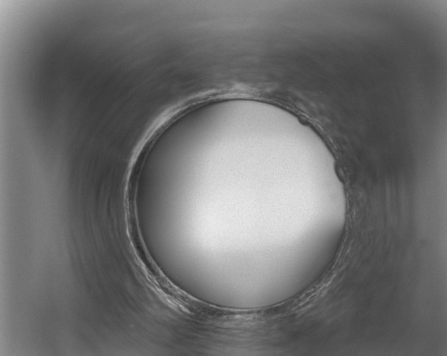 X0000060560102200511030929