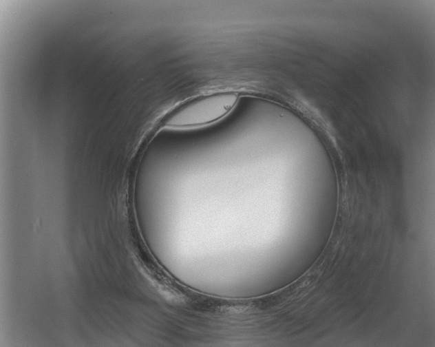 X0000060560107200511030929