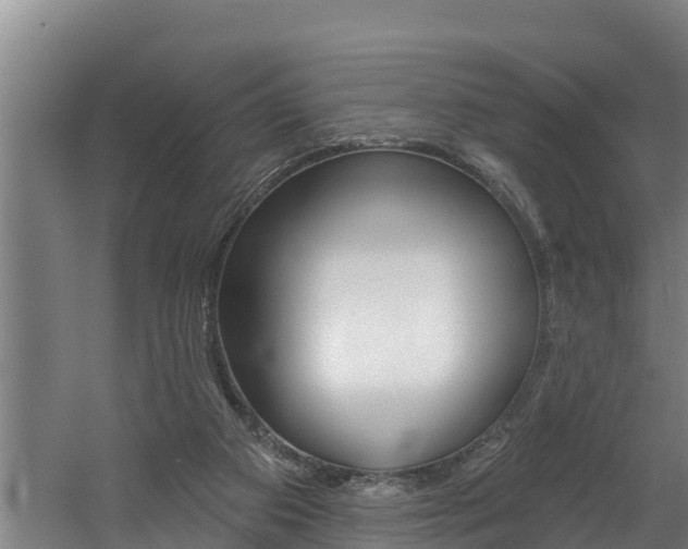 X0000060560113200511030929