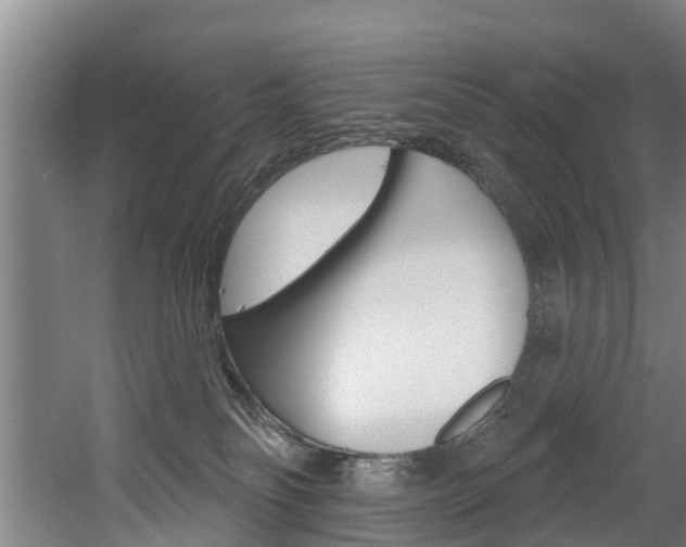 X0000060560134200511030928
