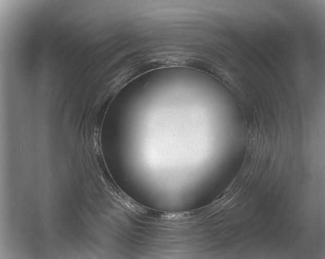 X0000060560141200511030928