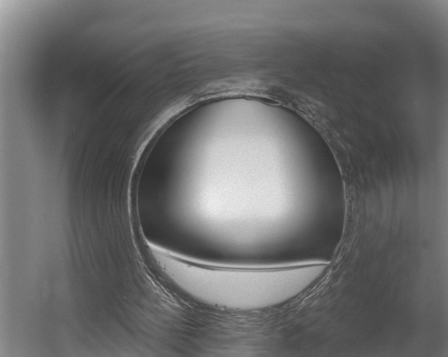 X0000060560148200511030927