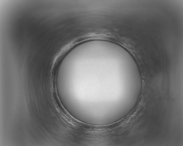 X0000060560149200511030927