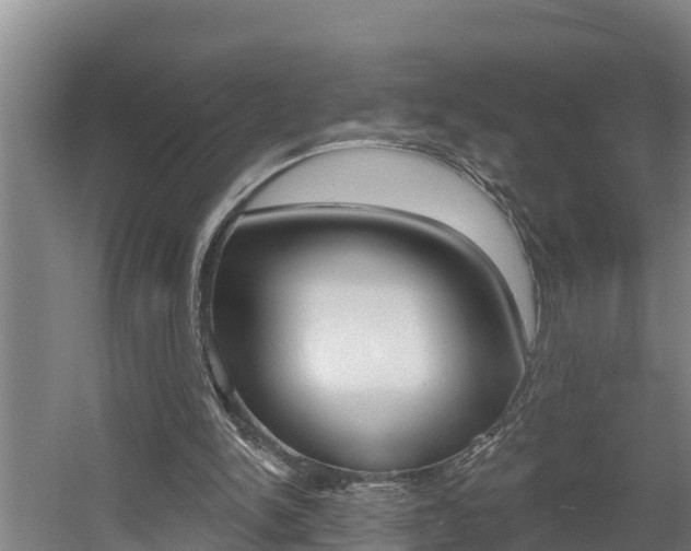 X0000060560150200511030927