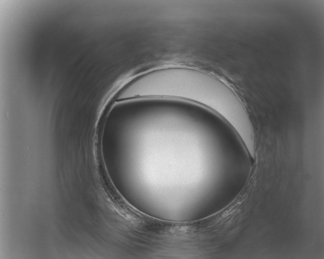 X0000060560152200511030927