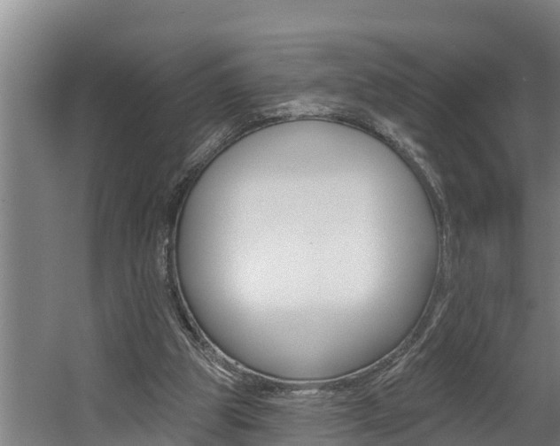 X0000060560153200511030927